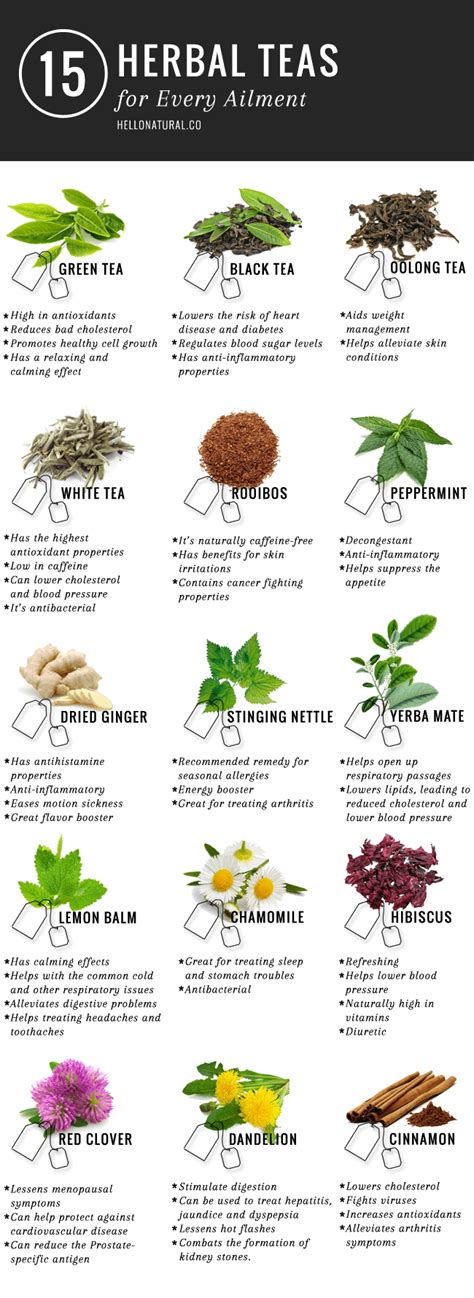 15 Everyday Ailments You Can Soothe With Herbal Tea | The WHOot ...