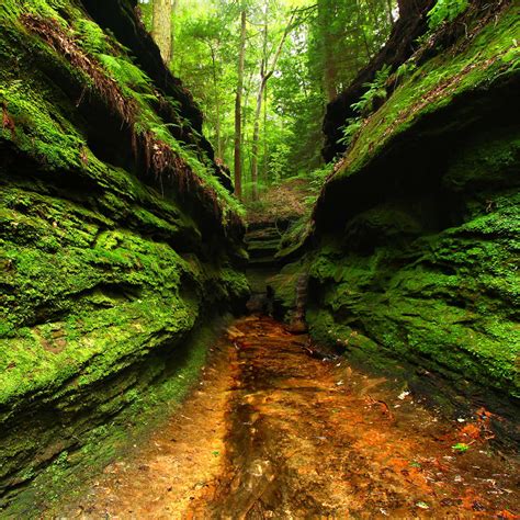 Turkey Run State Park in Marshall, IN