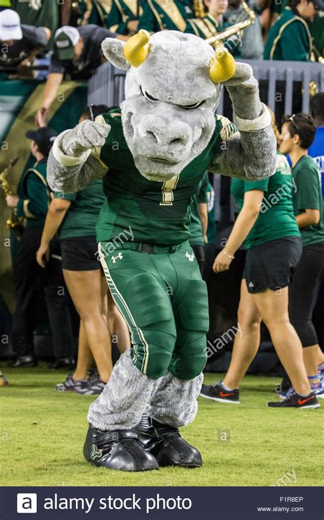 Tampa, Florida, USA. 5th September, 2015. USF mascot ''Rocky the Bull ...