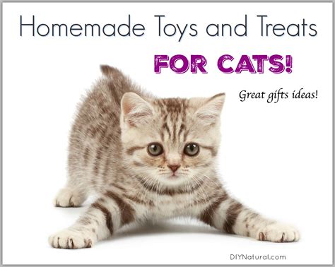 Homemade Cat Toys and Treats for Your Precious Kitty Cats