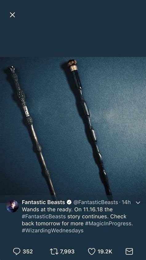 Did anyone notice the two wands? The first one is of Dumbledore’s, the elder wand? Fantastic ...