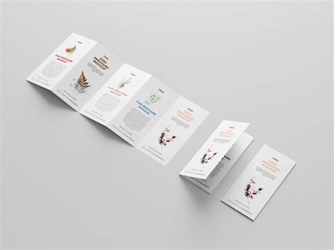 Accordion Fold Brochure Template Free