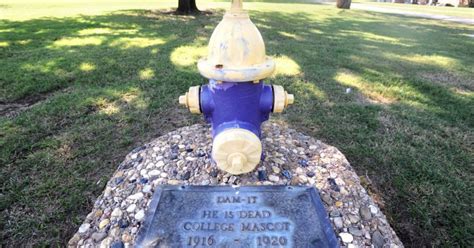 That darn dog: Hardin-Simmons mascot lives on in campus lore