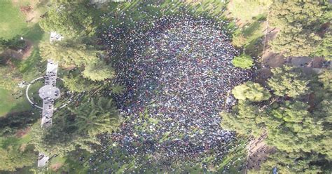 Aerial view of UC Davis protest : pics