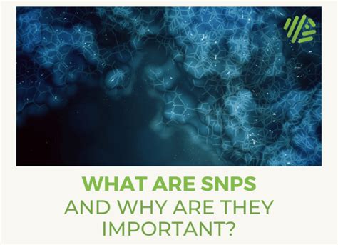 What are SNPs and Why Are They Important? - Gene Food