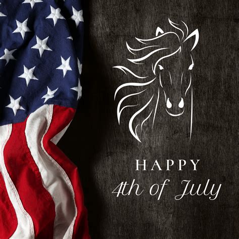 Happy 4th of July 🇺🇸🇺🇸 #equestrian #fourthofjuly #independence Happy 4 ...