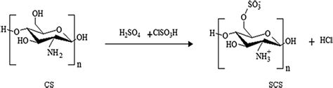 Scheme 2. Synthesis of sulfonated chitosan. | Download Scientific Diagram