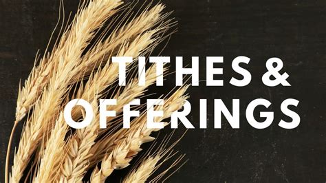 Wheat Tithes and Offerings - Graphics for the Church - Logos Sermons