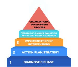 What Is Organisational Development? Process, Meaning, Importance, Characteristics, Objectives