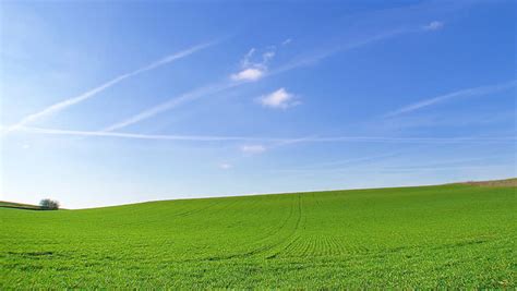 Light Effect with clouds over grass and trees image - Free stock photo - Public Domain photo ...