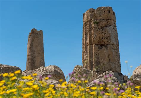 Selinunte Archeological Park - The Greek Wonders of Sicily