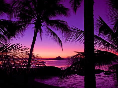 "Tropical Island Sunset" by Chris Kean | Redbubble