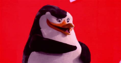 Cute Penguins Gif