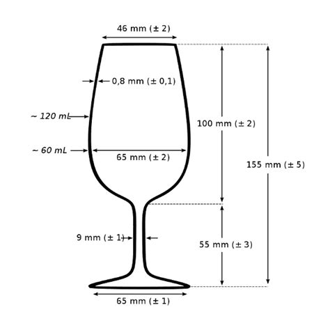 The Different Type of Wine Glasses and How to Use them – My Winedays ...