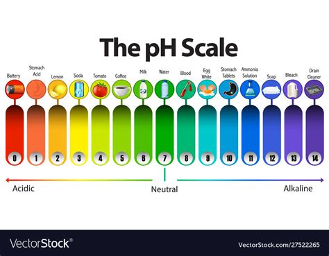 Ph Scale Examples