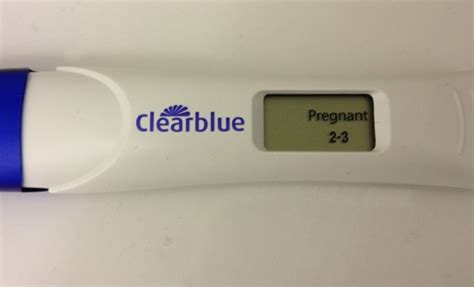 Pregnant Test – Telegraph