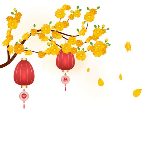 Yellow Apricot Flower For Vietnamese New Year Celebration, Yellow Apricot, Tet, Vietnamese Tet ...