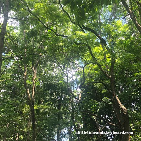 A Little Time and a Keyboard: Schlitz Audubon Nature Center Entices ...