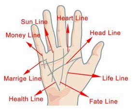 Palm reading is as prominent and believed as horoscope. Where there are ...