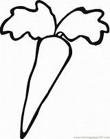 Coloring Pages Carrot 18 Natural World > Vegetables  free printable sketch template