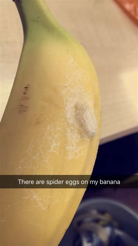 Help! My Tesco bananas have spider eggs on them - Cambridgeshire Live