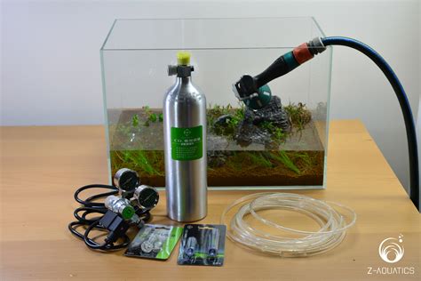 A Guide for Setting Up a Basic Planted Aquarium - Z-Aquatics