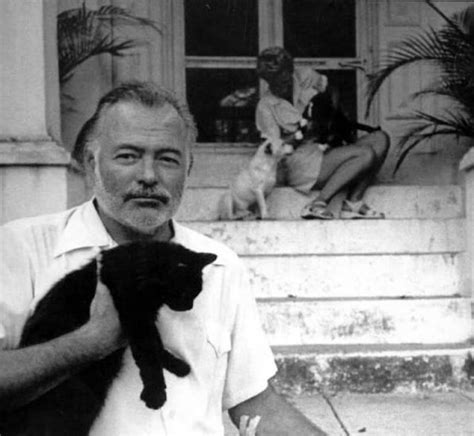 26 Interesting Vintage Photos of Ernest Hemingway With His Beloved Cats ...