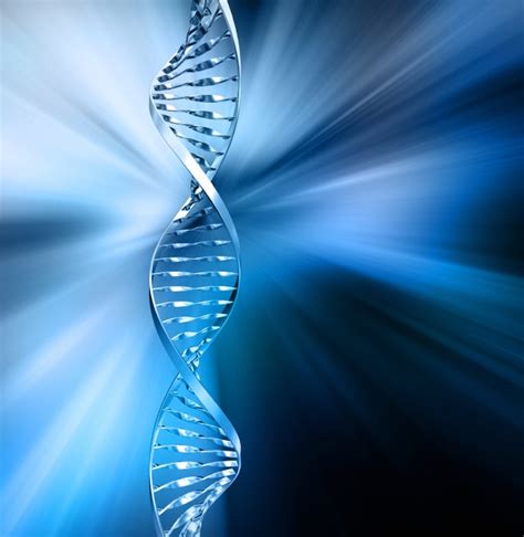 DNA Methylation and Epigenetics