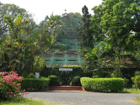 Jagadish Chandra Bose Botanical Garden Kolkata | Howrah - What to Expect | Timings | Tips - Trip ...