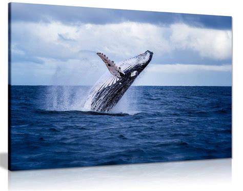 Humpback Whale Art