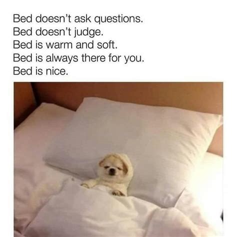 Top Funniest Sleep Memes: Take Your Portion of Good Laugh | Sleep funny, Sleep meme, Bed quotes ...