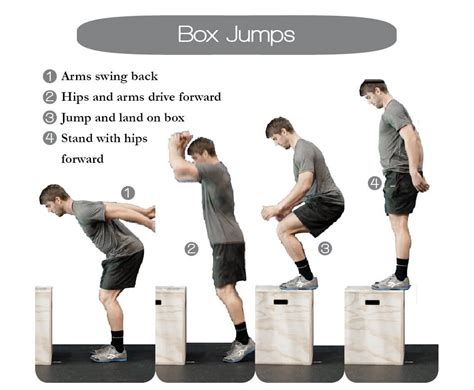 Learn how to do a box jump with our technique, setup and execution tips!