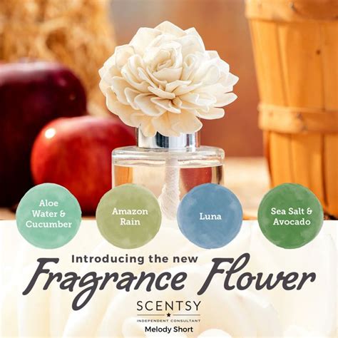 Scentsy Fragrance Flower - Beautiful Scent for Any Space