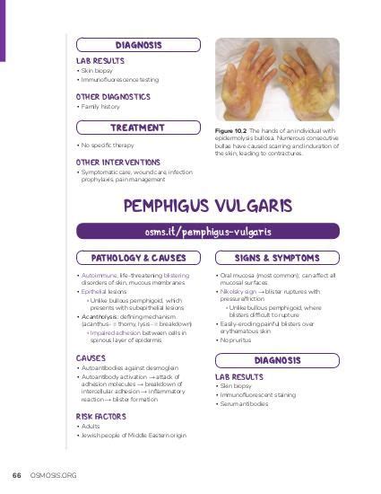 Pemphigus vulgaris: Video, Causes, & Meaning | Osmosis