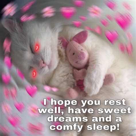 Good night everyone... | /r/wholesomememes | Wholesome Memes | Know ...