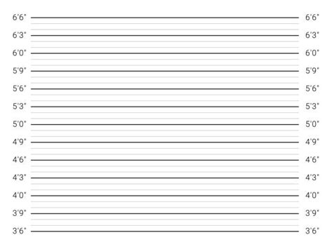 Prison Height Chart stock vectors - iStock