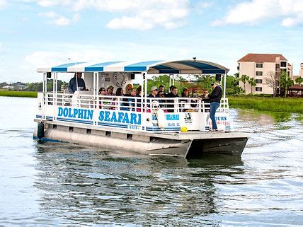 Hilton Head Dolphin Tours | Shelter Cove Harbour & Marina