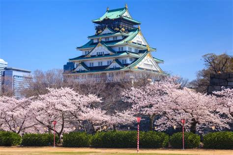 Osaka Cherry Blossoms: 8 Best Sakura Spots | Japan Cheapo