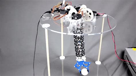 This Origami-bot Is a Lightweight Take on a Robot Arm | Robot arm, Robot, Origami tower