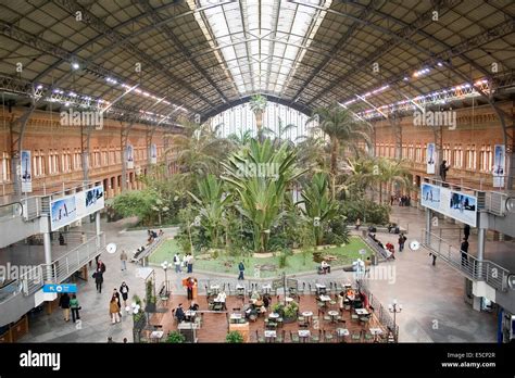 Tropical garden in Atocha train station, Madrid Stock Photo - Alamy