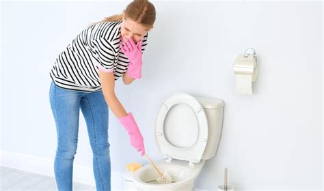 How To Get Rid of Sewage Smell In Your Bathroom? - Bond Cleaning in Adelaide