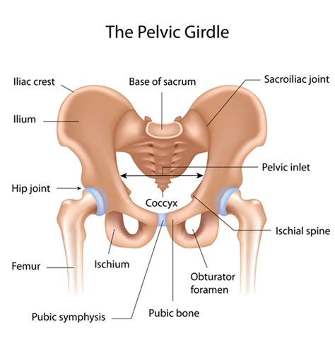 Sacroiliac Joint Pain Treatment | Hartwell Physiotherapy