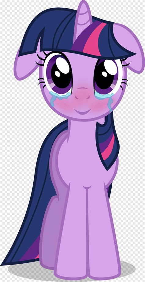 Twilight Sparkle My Little Pony Rarity ร้องไห้ม้าตัวน้อยของฉัน, อะนิเมะ, ศิลปะ png | PNGEgg