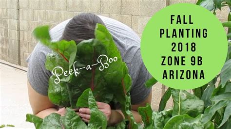 Zone 9 Arizona Backyard Garden: Zone 9b Arizona Fall Planting 2018 ...