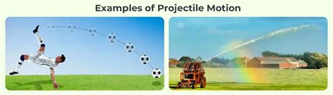 What Is A Projectile? Projectile Motion, Diagram Examples, 47% OFF