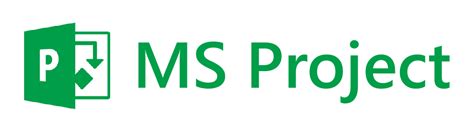 The Pros and Cons of Using MS Project Software