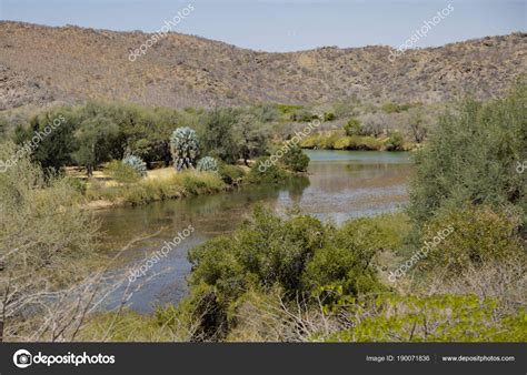 View Kunene River Northern Part Namibia — Stock Photo © PrismaNova ...