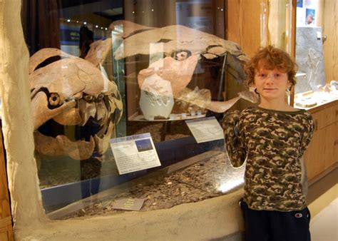 Thermopolis Dinosaur Museum – BodesWell