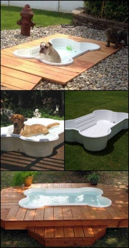 Dog Spaces Under The Stairs ; Dog Under Stairs Spaces | Dog backyard, Dog pool, Dog spaces