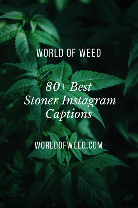 80+ Best Stoner Instagram Captions | World Of Weed